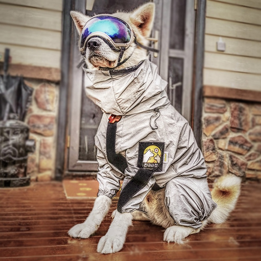 🐾🌧️ WoofyLove Astro-Wrap: Four-legged Waterproof Dog Rain Clothes – Full-Surrounded Space Suit Style 🌧️🐾 ( Goggle NOT Included)